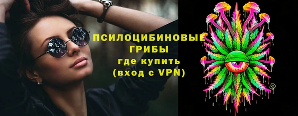 прущие крисы Бородино