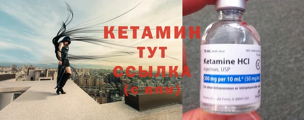 прущие крисы Бородино
