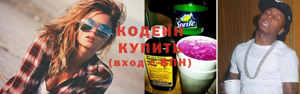прущие крисы Бородино