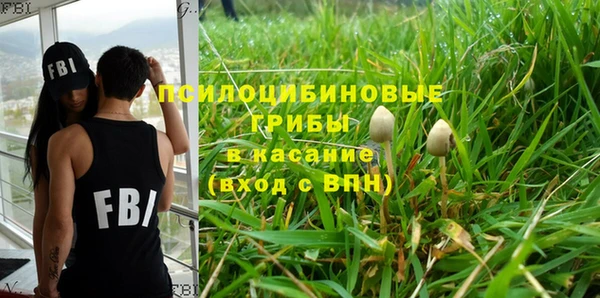 гашик Бронницы