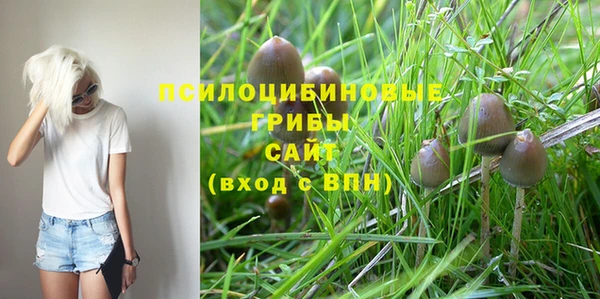 герыч Верея