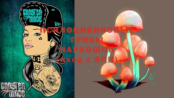 прущие крисы Бородино