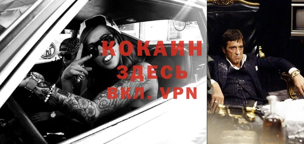 прущие крисы Бородино