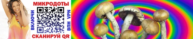 Галлюциногенные грибы MAGIC MUSHROOMS  Калуга 